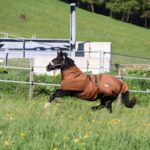 06c074d5-f23f-4e45-b9c0-0b43676a3425