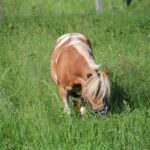 09f1b2b6-4ca9-4092-ae17-1fb0c8127277