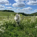 19c2750c-ba43-4823-9a2f-ebfeb89ce405 (1)