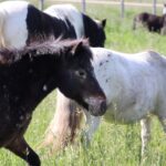 1eed8c78-efc2-4467-a858-11a788dac1c9