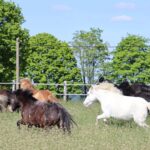 6e4ea571-d29f-4571-8de9-cfd51434dd6d