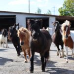 930ce9ca-3fde-48b1-93ba-a3b4aaea5c17