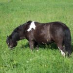 9700e850-eb0d-4333-b58b-bbd70b59981f (1)