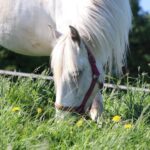 98aed773-66ce-49e3-a29b-48adb064847c