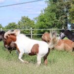 bed37828-548f-45f7-98b1-8389aea19503