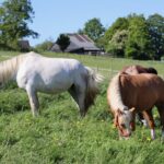 e980b92c-850c-46c1-b26a-434d8f356b85